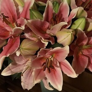 Meet your Posher, Araceli